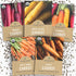 Organic Carrot Seeds Variety Pack - 5 Individual Packs - 2026 Season