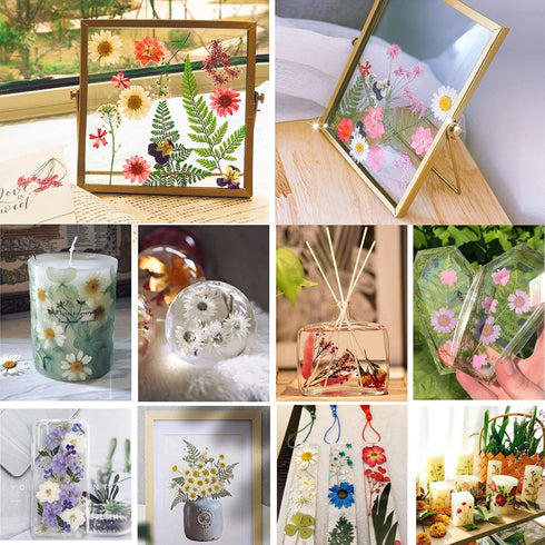 BIHRTC 100PCS Dried Pressed Flowers, Assorted Real Dried Leaves for Resin Scrapbooking DIY Candle Accessories