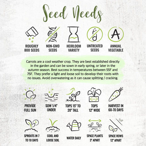 (1 Pack) Seed Needs Carrot Seeds for Planting Paris Market Carrots - Non-GMO Heirloom & Untreated Annual Cool Weather