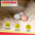 My Favorite Chicken Nesting Box Pads for Chickens - Accessories for Hens, Chicken Coops and Laying Eggs - Square Liners