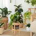 Sunnychicc Stand(7.87 Inch,Black Plant Basket with Stand Indoor Planter Pot Holder Sturdy Jute Rope Modern Woven