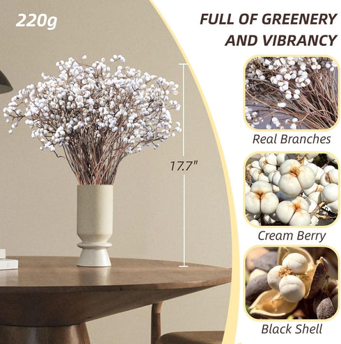 220g 17" 2 Tallow Berries Dried Christmas Decor- Natural Stem Wedding Floral Decor, White Holly Tallow Berries, Bundles