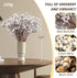 220g 17" 2 Tallow Berries Dried Christmas Decor- Natural Stem Wedding Floral Decor, White Holly Tallow Berries, Bundles
