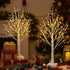 AOLTNRC 2 Pack Lighted Trees for Indoor Decor with Timer, 144 LED 2FT