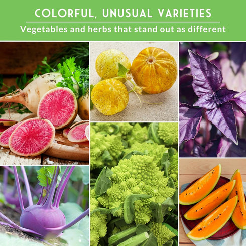 6 Pack Rare Exotic Vegetable & Fruit Seeds for Planting Variety Heirloom with Romanesco, Lemon Cucumber, Watermelon