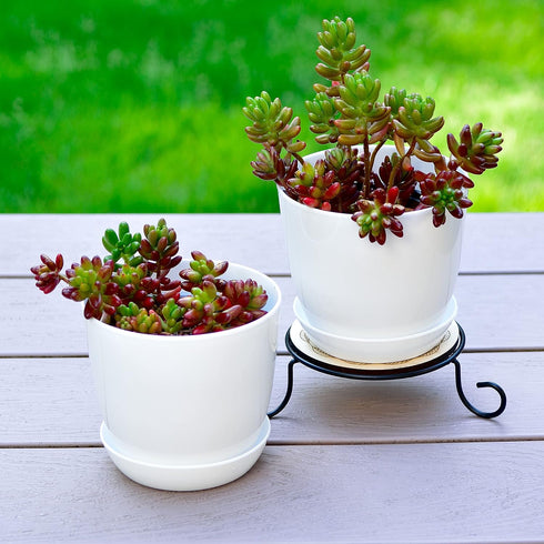 Youngever 4.5 Inch Plastic Planters with Saucers, 8 Sets Indoor Flower Pots, Modern Decorative Gardening