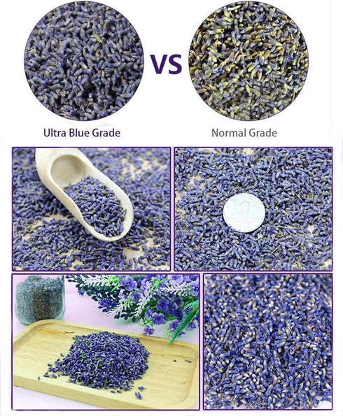 TooGet Fragrant Lavender Buds - Natural Dried Flowers Wholesale, Ultra Blue Grade - 1 Pound