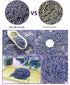 TooGet Fragrant Lavender Buds - Natural Dried Flowers Wholesale, Ultra Blue Grade - 1 Pound