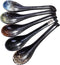 7 inch Japanese and Korean Ramen Spoon Set of 5, Long Handle Ceramic Soup Spoons for Miso, Asian Soup