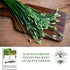 200+ Garlic Chives Seeds (Allium tuberosum, Chinese Chives) Non GMO & Heirloom Seeds, by Islas Garden Seeds, Use as