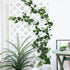 mizii 5 Pack 365" Artificial Scindaps Vines Garland, Fake Vine with Silk Green Leaves for Bedroom Wall Party Wedding