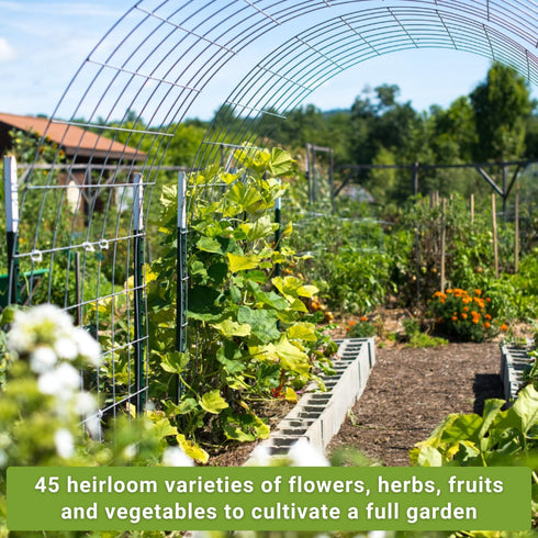 45 Sow Right Seeds - Complete Garden Seed Collection for Planting - Non-GMO Heirloom Vegetable, Herb and Flower