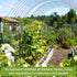45 Sow Right Seeds - Complete Garden Seed Collection for Planting - Non-GMO Heirloom Vegetable, Herb and Flower