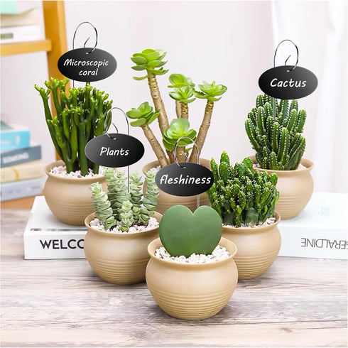 50 Vcekract Plant Labels, Pcs Acrylic Garden Labels Stakes with a Pen, Plant Markers for Outdoor Waterproof, Garden