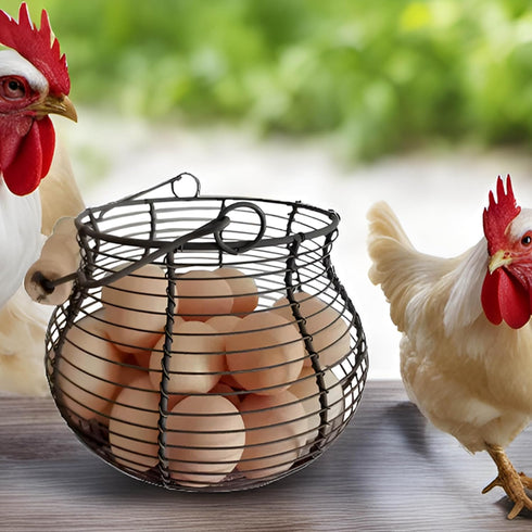 LINCOUNTRY. Countertop Farmhouse Wire Egg Baskets for Gathering Fresh Egg With Handle, Round Metal Chicken Egg