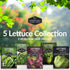 5-Variety Lettuce Seeds Collection Heirloom Romaine (Parris Island), Buttercrunch, Iceberg, Oakleaf, Lolla Rosa