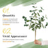 TOPHOUSE 6pcs Artificial Eucalyptus Leaves Stems Bulk - 24.8” Silver Dollar Eucalyptus Artificial Greenery Silk Plant