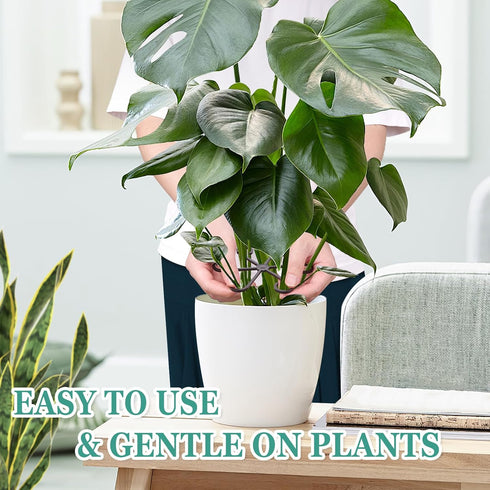 GLCSC 8pcs Plant Stem Support, Plant Support for Indoor Plants, Plastic Reusable Plant Stabilizer, Indoor Plants