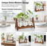 3 Bulb (1, 3-Bulb) Plant Terrarium with Wooden Stand, Glass Vase Metal Holder, Retro Hydroponics Planter