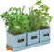 PERFNIQUE Indoor Herb Garden, Herb Garden Planter Set with Tray, Farmhouse Indoor