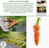 58 500+ Imperator Carrot Seeds (Daucus carota) Non-GMO & Heirloom Seeds, Long and Sweet Carrots for Juicing, Fresh