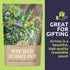 Pack 35 Packs 2026 Organic Herb Seeds Variety - Individual - Season - Basil, Cilantro, Dill, Thyme, Parsley and More!