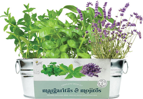 BUZZY Seeds Margarita and Mojito Windowsill Mini Garden Grow Kit, Herb Starter