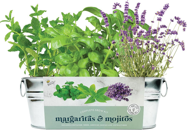 BUZZY Seeds Margarita and Mojito Windowsill Mini Garden Grow Kit, Herb Starter