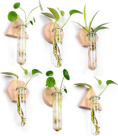 MITIME Wall Hanging Planter Glass Plant Propagation Station,Geometric Wooden Stand for Home