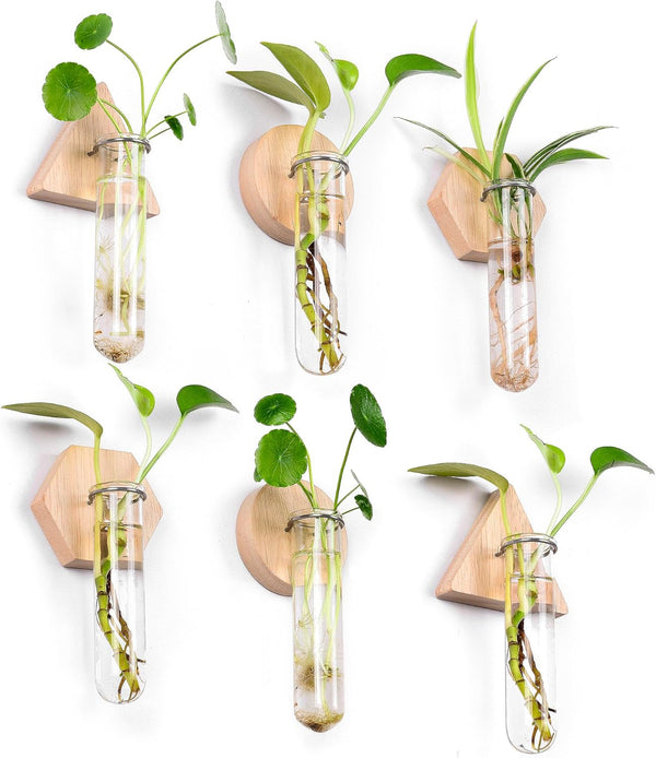 MITIME Wall Hanging Planter Glass Plant Propagation Station,Geometric Wooden Stand for Home
