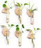 MITIME Wall Hanging Planter Glass Plant Propagation Station,Geometric Wooden Stand for Home