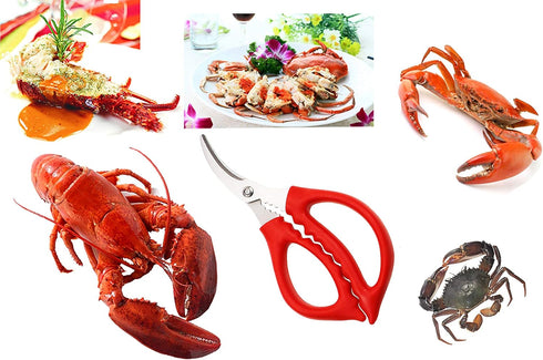 Criativo live 6 pieces Professional and durable Seafood scissors crab cracker stainless steel seafood scissors