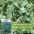 Packet (3) Sow Right Seeds - Dwarf Siberian Improved Kale Seed for Planting - Non-GMO Heirloom with Instructions