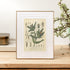 Ink Inc. Botanical Prints Wall Art, Medicinal Plants and Herbs, Set of 9, 5x7 Inches, Unframed