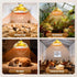 Micosong 300 Bulb 2 Watt Heat Lamp for Chicken Coop, Hanging Chicken Coop Heater, Carbon Fiber Waterproof Coop Heater