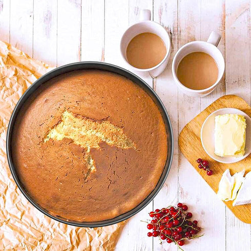 Webake 12 Inch Springform Pan, Nonstick Cheesecake Pan with Removable Bottom for Baking