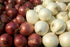 Sunutri Seeds Pack 4 Onion Seeds Variety for Planting Heirloom Non-GMO Varieties: Evergreen Bunching, Red Creole, White