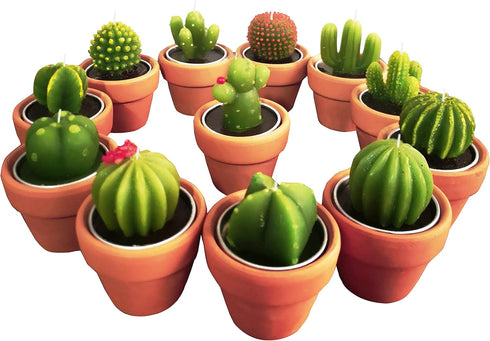 Succulent Candles, Novelty Cactus Tealight Candle Decorations for Baby Shower Party Favors, Terrarium Cacti Home Decor