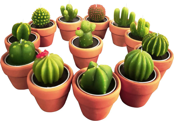 Succulent Candles, Novelty Cactus Tealight Candle Decorations for Baby Shower Party Favors, Terrarium Cacti Home Decor