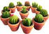 Succulent Candles, Novelty Cactus Tealight Candle Decorations for Baby Shower Party Favors, Terrarium Cacti Home Decor