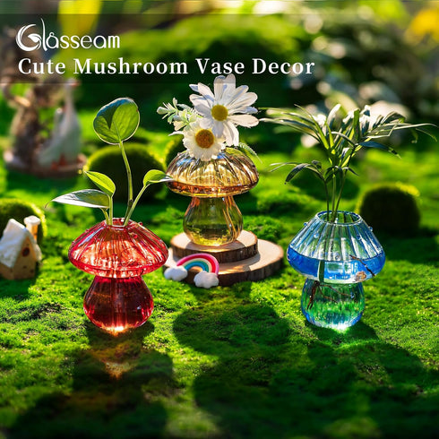 3Pcs Glasseam Mushroom Plant Propagation Station: Glass Plant Terrarium Jar with Wood Stand Unique Hydroponic Planters