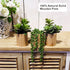 VINSUNI Set 3 Artificial Succulents with Pots - of Small Fake Plants for Aesthetic Room Decor - Realistic Mini Faux
