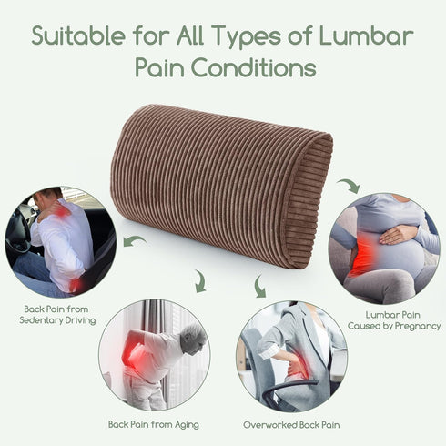 HIGOGOGO Lumbar Support Pillow for Recliner Chair/Accent Chair/Couch, Memory Foam Back Support Cushion for Elderly