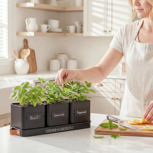Set PERFNIQUE Indoor Herb Garden, Herb Planter with Tray, Farmhouse Indoor Plant Pots, Windowsill Herb Garden