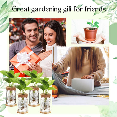 12 Packs Set Baderke Plastic Plant Propagation Vase Thank You Gift Desktop Plastic Planter Vase with Bamboo Stand