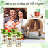 12 Packs Set Baderke Plastic Plant Propagation Vase Thank You Gift Desktop Plastic Planter Vase with Bamboo Stand