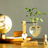 Bulb (D(1 Kingbuy Hydroponic Glass Vase Vintage Desktop Plant Terrarium Planter Vase Water Planting Propagation Vase