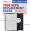 LifeSupplyUSA Complete Set: 1 True HEPA Air Cleaner Filter + 1 Carbon Pre-Filter for Winx Hr950 & Hr1000