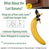 The Original Banana Bungee Hanger - Under Cabinet Banana Hook & Holder Stand Alternative, Made in the USA