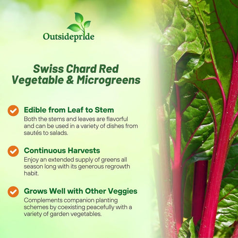 2000 Outsidepride Red Swiss Chard Seeds for Planting Vegetables & Microgreens - Pcs Vibrant, Tasty & Highly Nutritious